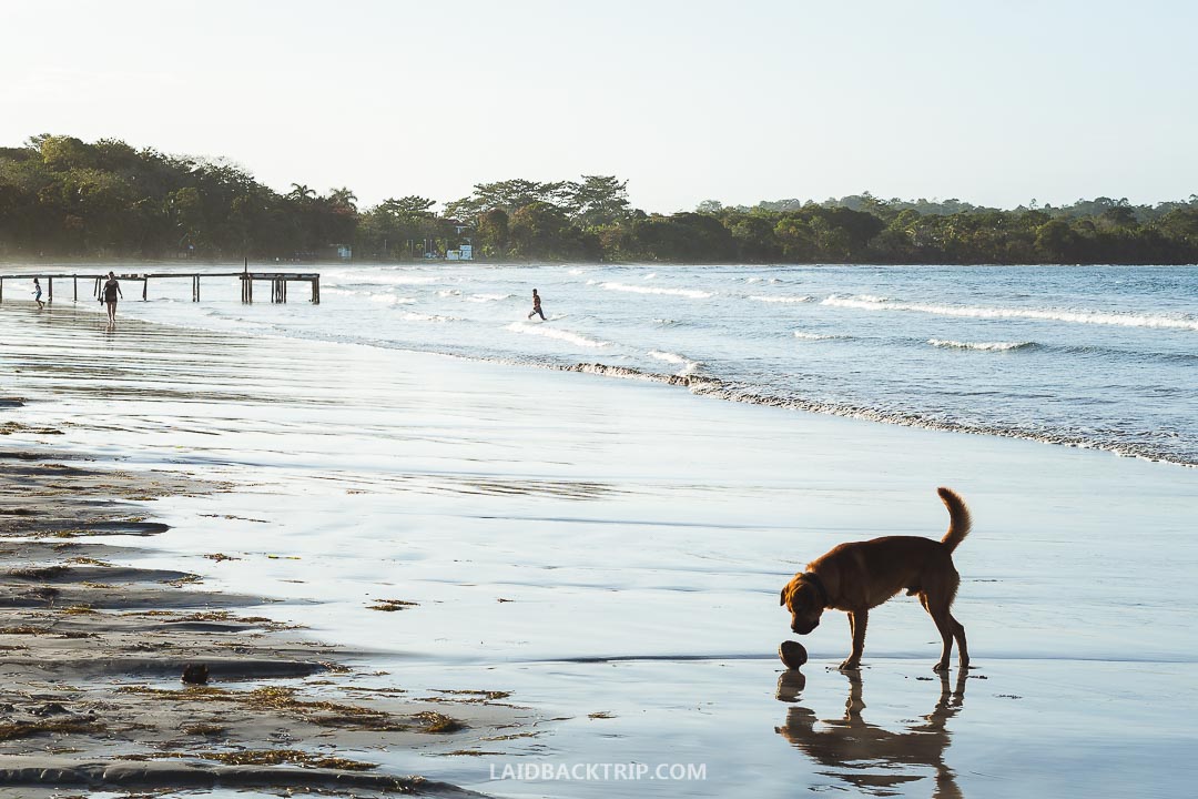 Bocas Del Toro, Panama Travel Guide